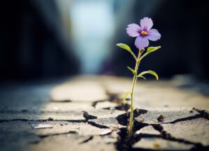 cultiva la resiliencia